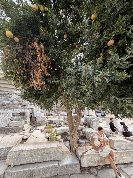 Beauty under pomegranate tree