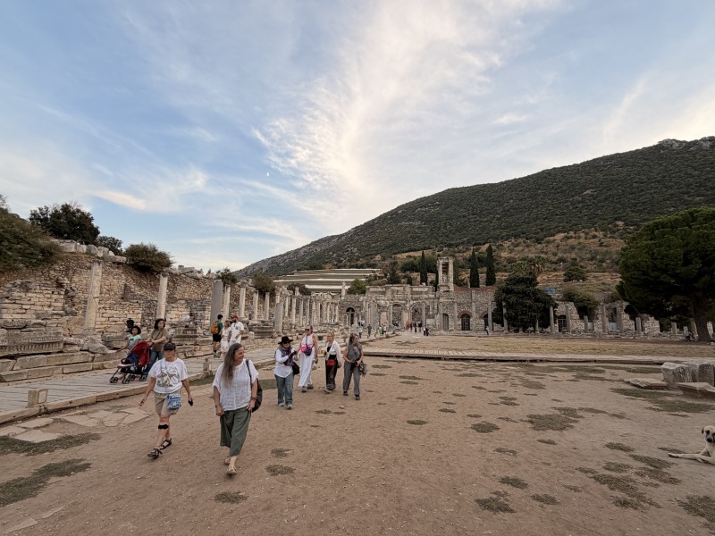 Starseeds at Ephesus