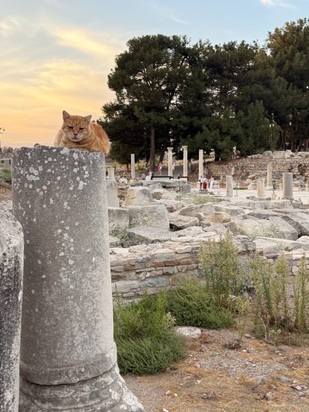 Garfield of Ephesus fame