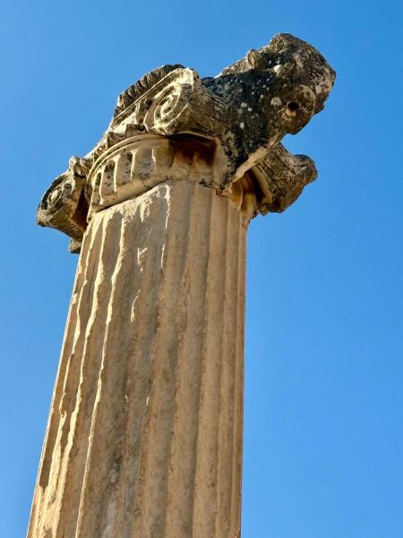 Ionic column, Ephsus