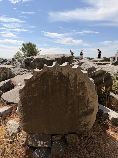 Columns at Priene