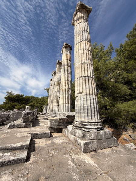 Columns of Athena