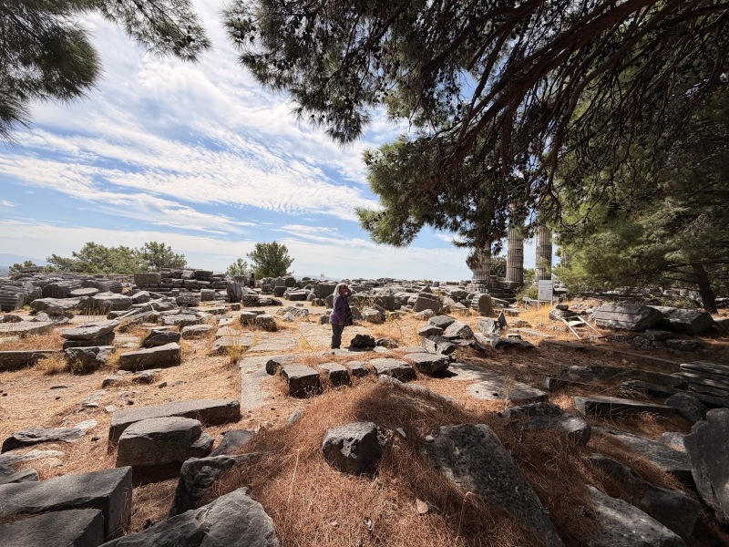 Among the Ruins, Priene