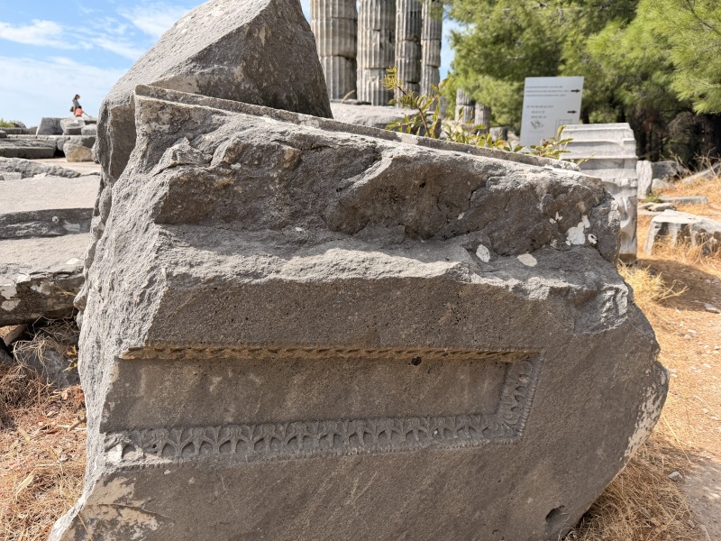 Temple Fragments Beneath the Pines