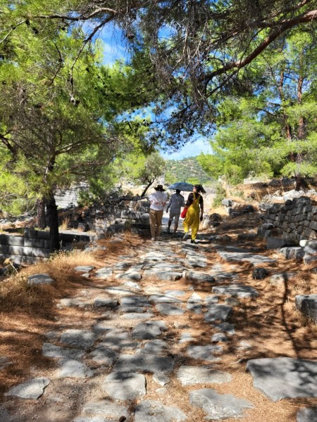 Starseed Along the Sacred Way
