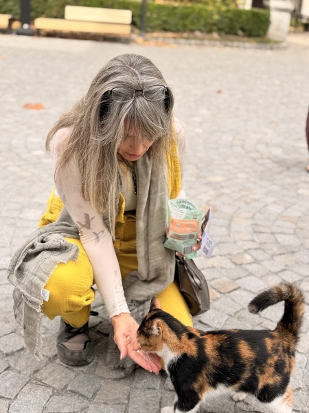 Always feed the cats!