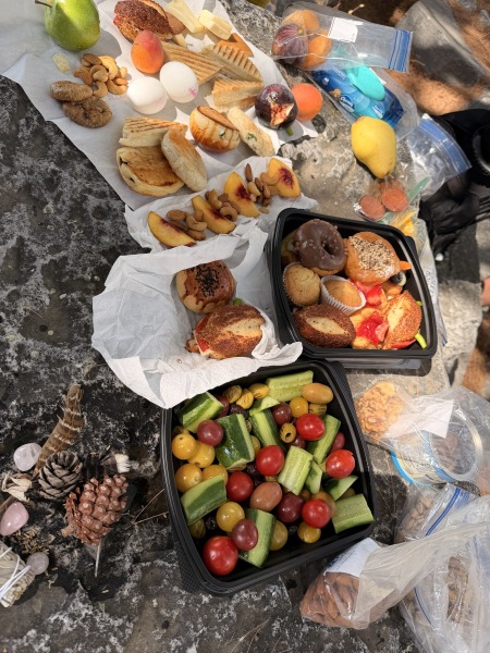 Temple Picnics, Priene
