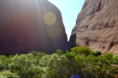 TheasHeart_Starseed-Australia2016_19