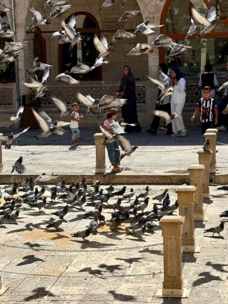 Sanliurfa Moments