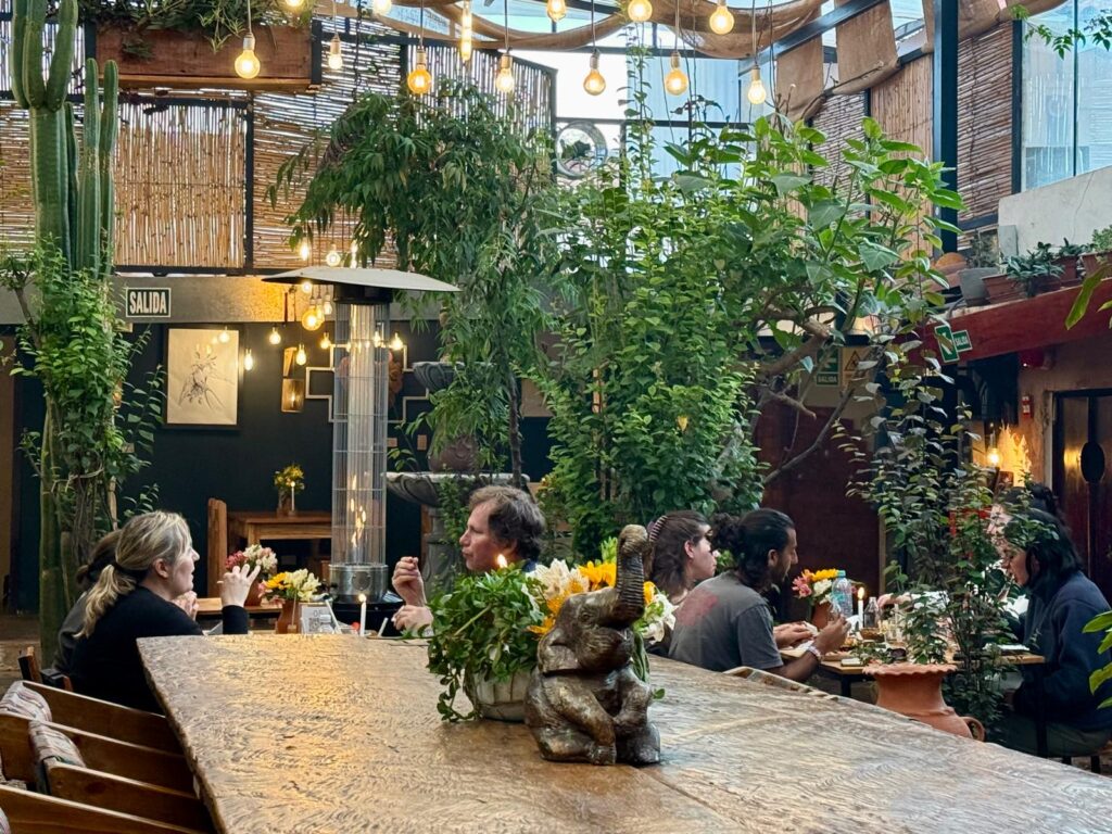 Lush garden dining area at Green Point Vegan Restaurant in Cusco, Peru — featuring hanging lights, tall cacti, and rustic wooden tables surrounded by greenery, where guests gather for conversation and connection.