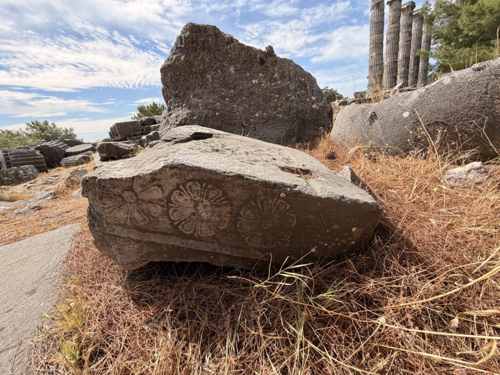 Decorated marble fragment carved with rosette motifs lying among pine needles beside the remaining columns of the Temple of Athena at Priene.